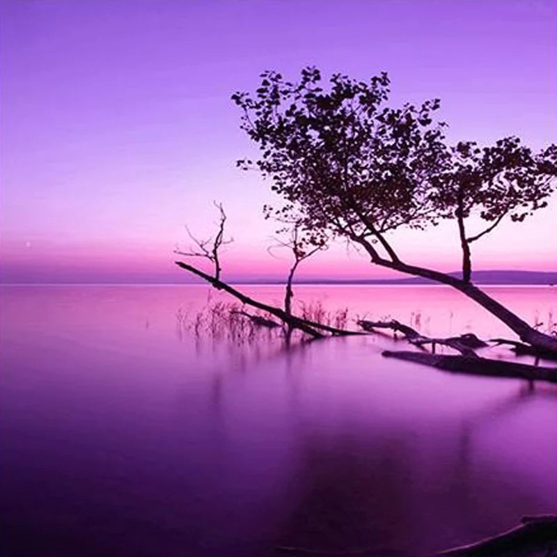 Landscapes