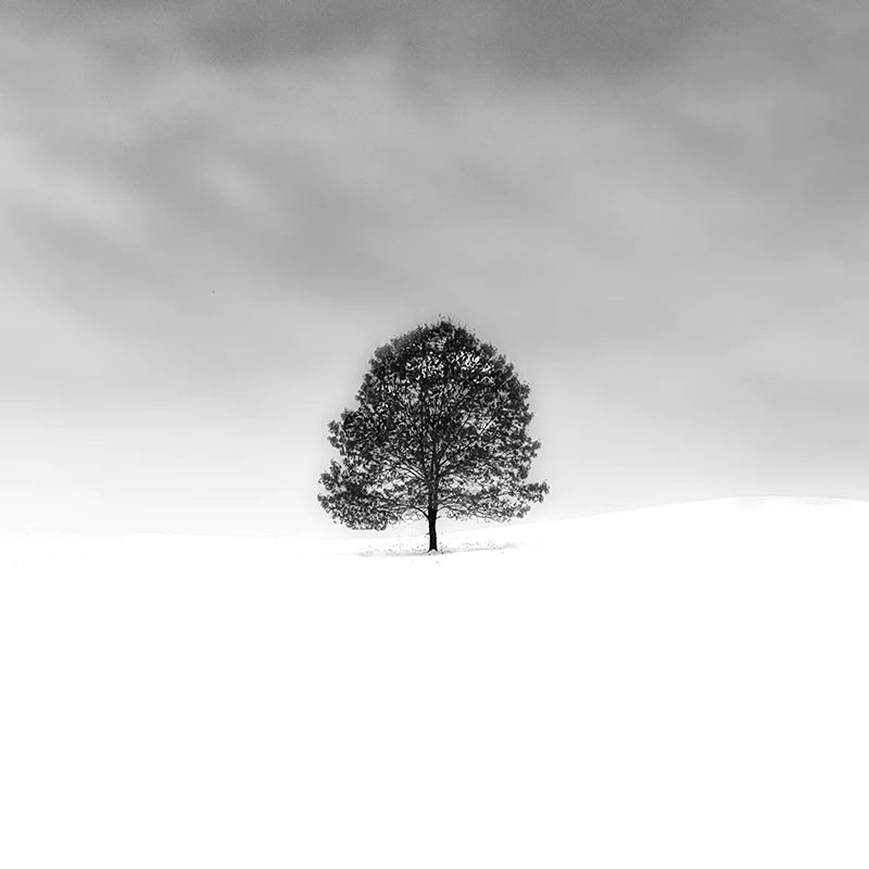 Minimal