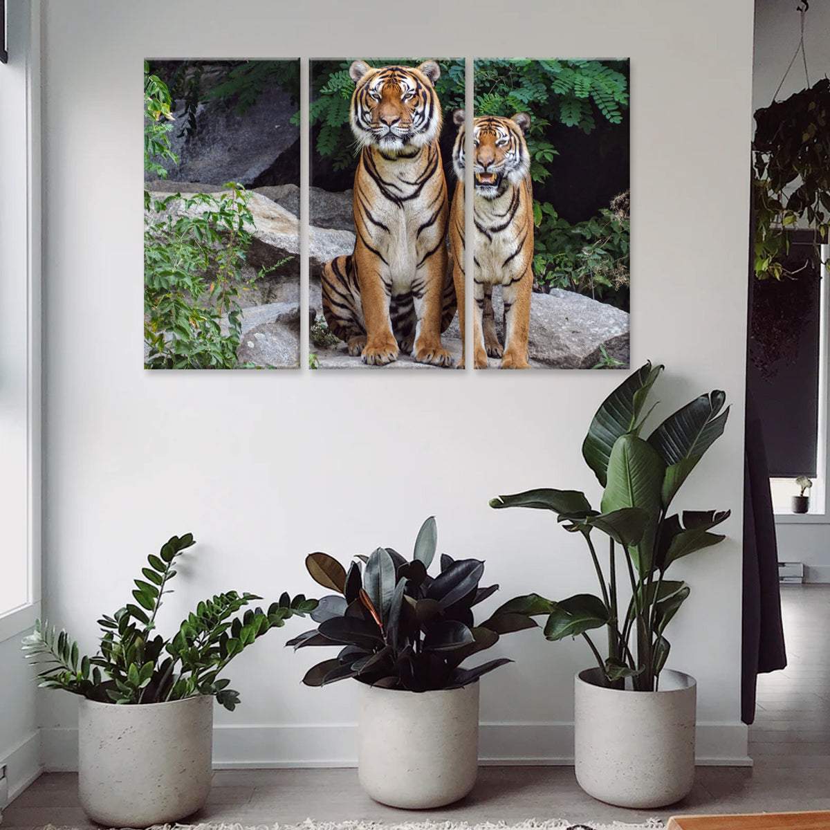 Two Tigers - stunning 3-panel canvas wall art featuring majestic Bengal tigers sitting on rocks amid lush greenery, showcasing their orange and white striped coats and powerful stature in natural habitat