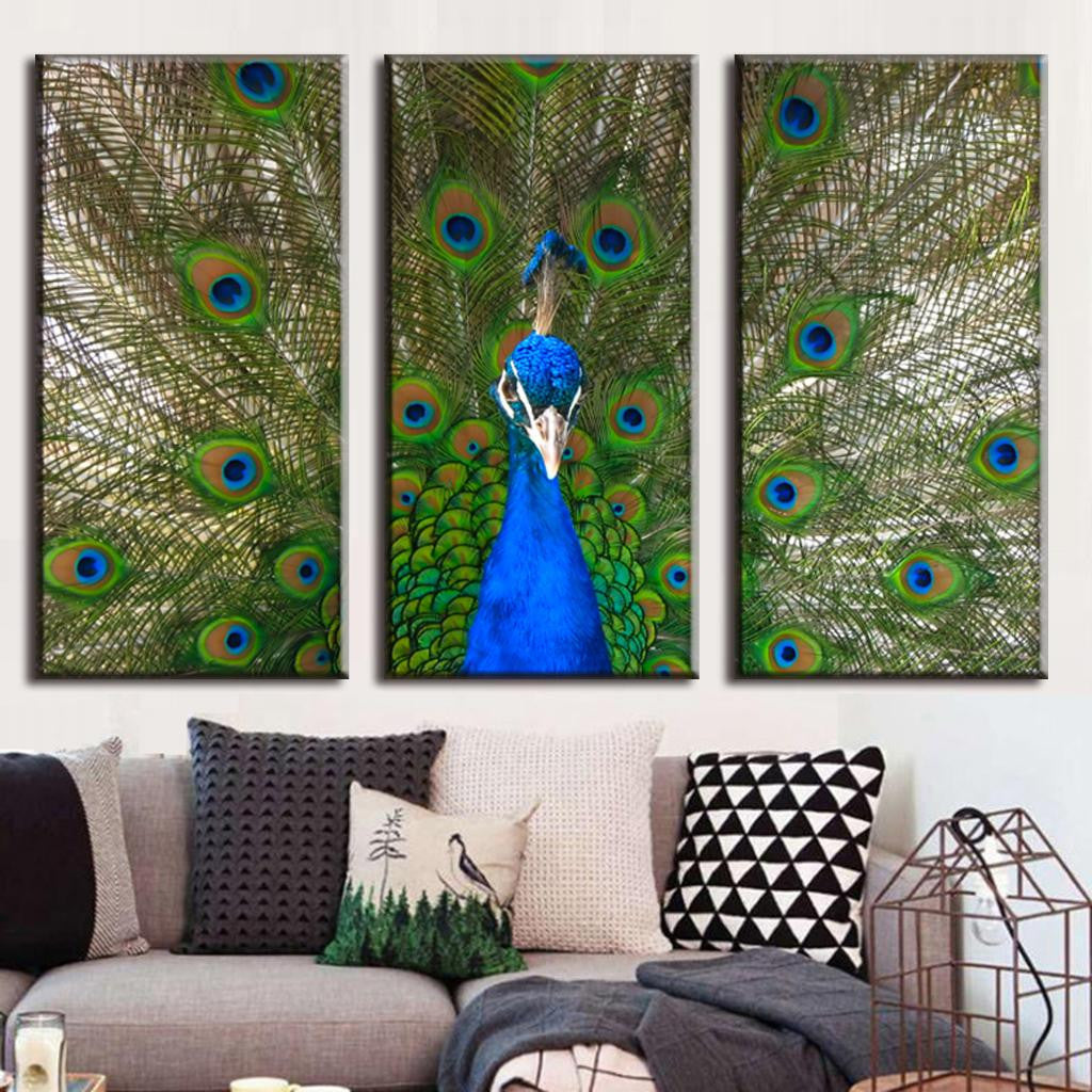 Peacock and Feathers - Three panel canvas wall art featuring vibrant blue peacock with spread tail feathers displaying iridescent green and gold eye patterns, perfect for modern home decor