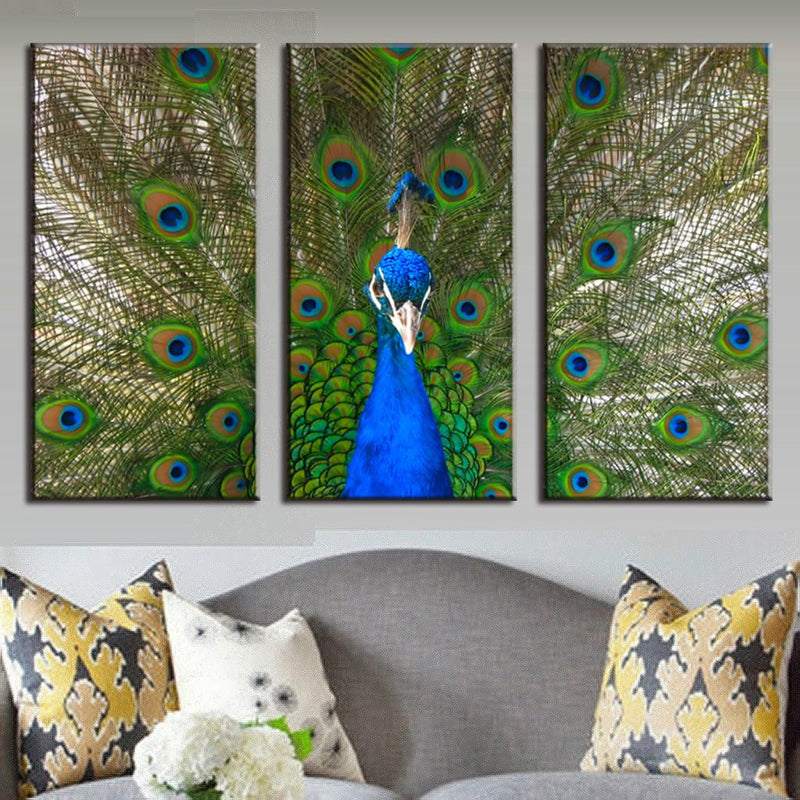 Peacock and Feathers - 3 panel canvas wall art displaying vibrant blue peacock with spread tail feathers featuring iridescent green and gold eye patterns, perfect for modern home decor