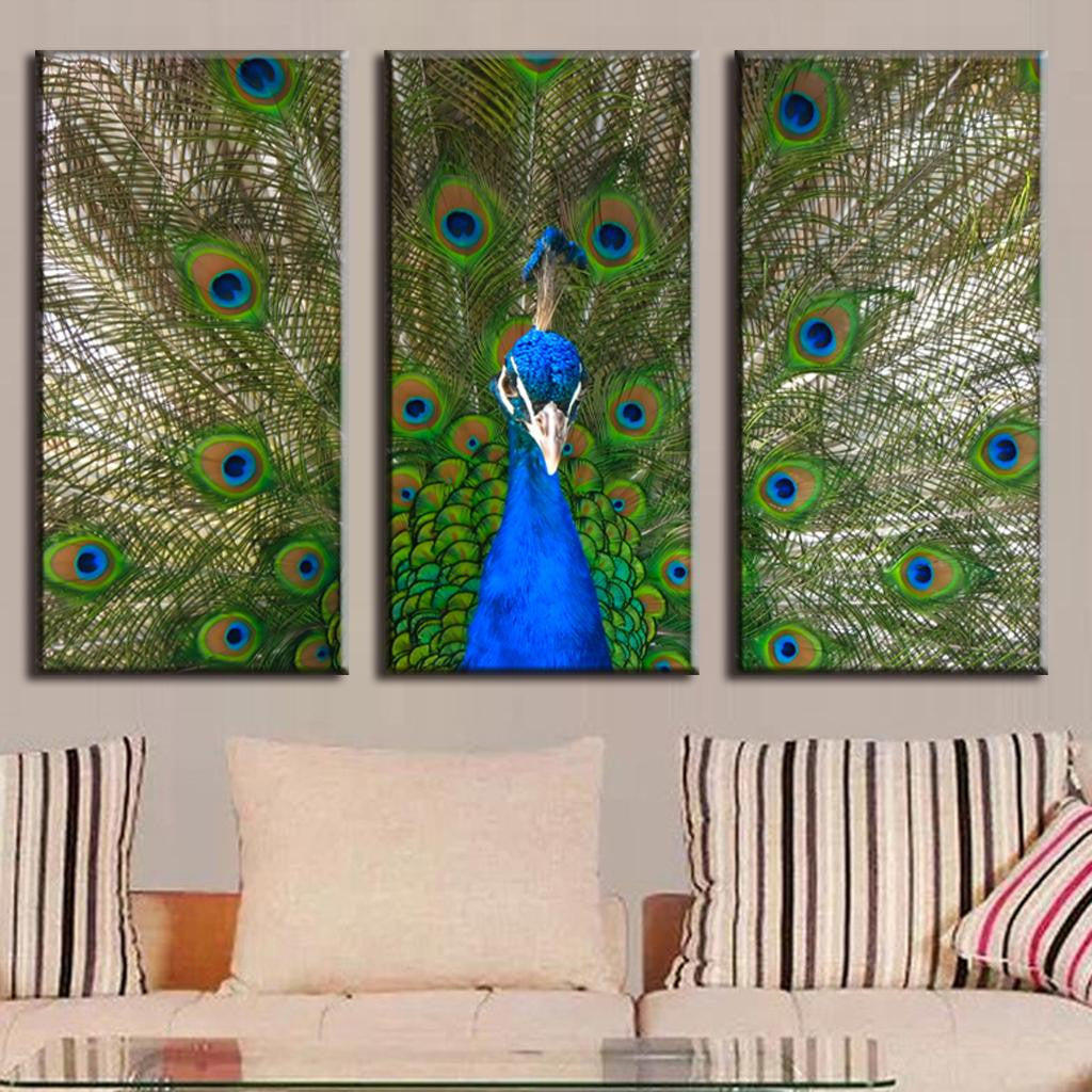 Peacock and Feathers - Vibrant 3-panel canvas wall art featuring a majestic blue peacock displaying its iridescent tail feathers in full plumage against a natural background, perfect for modern home decor